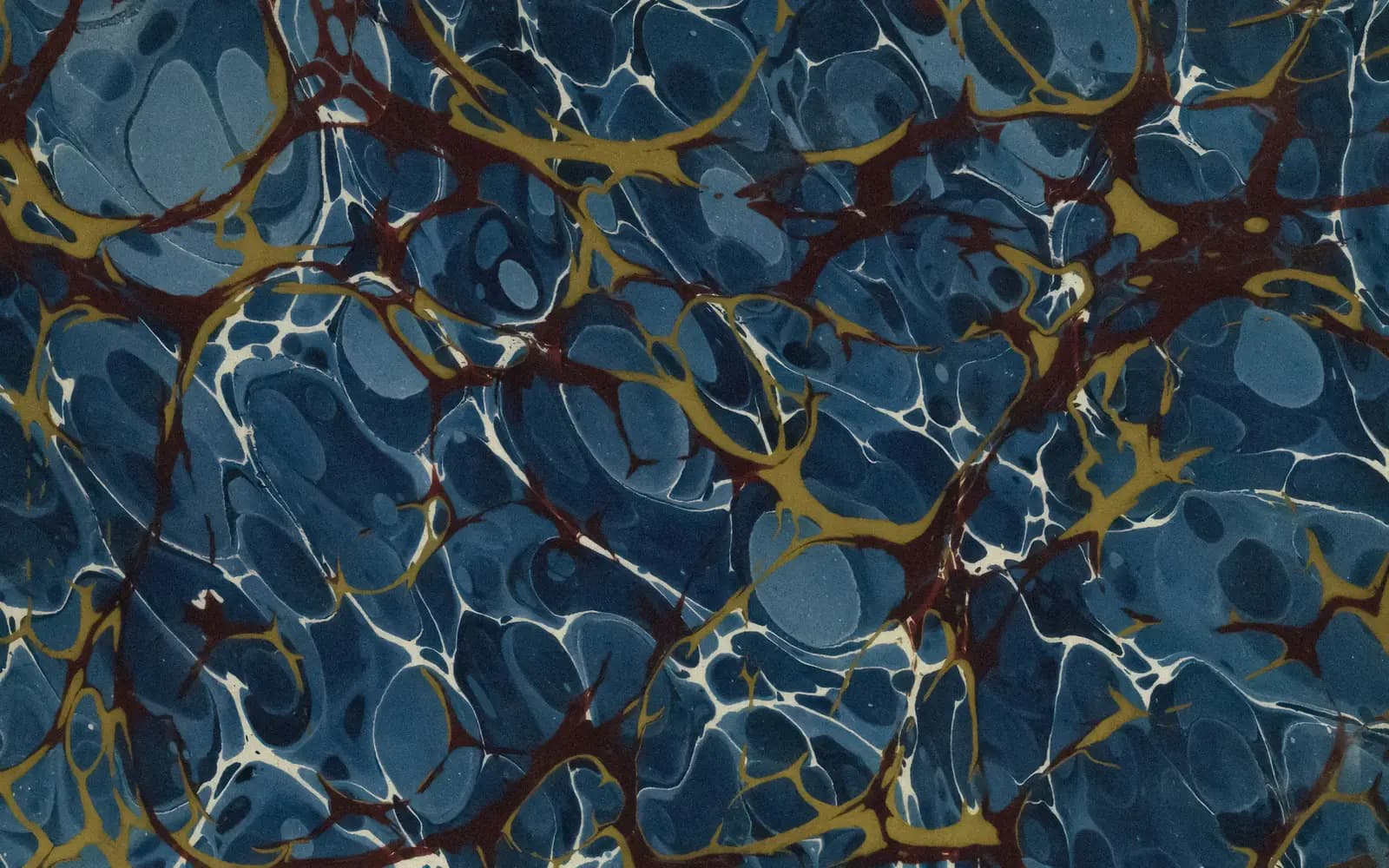 From Neurons to Leaders: A Brain-Targeted Framework for Leadership Education